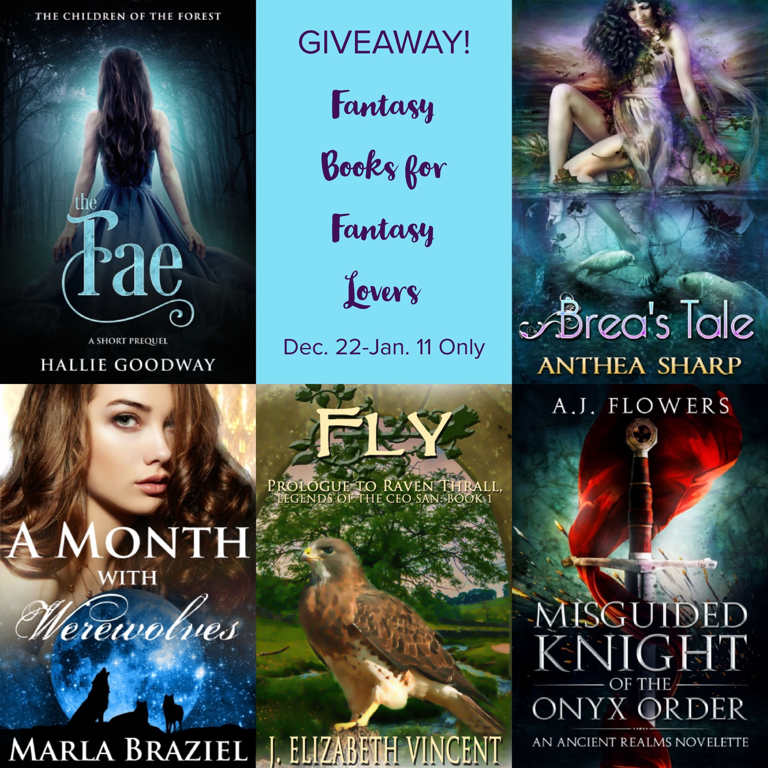 Instafreebie, Fly, giveaway